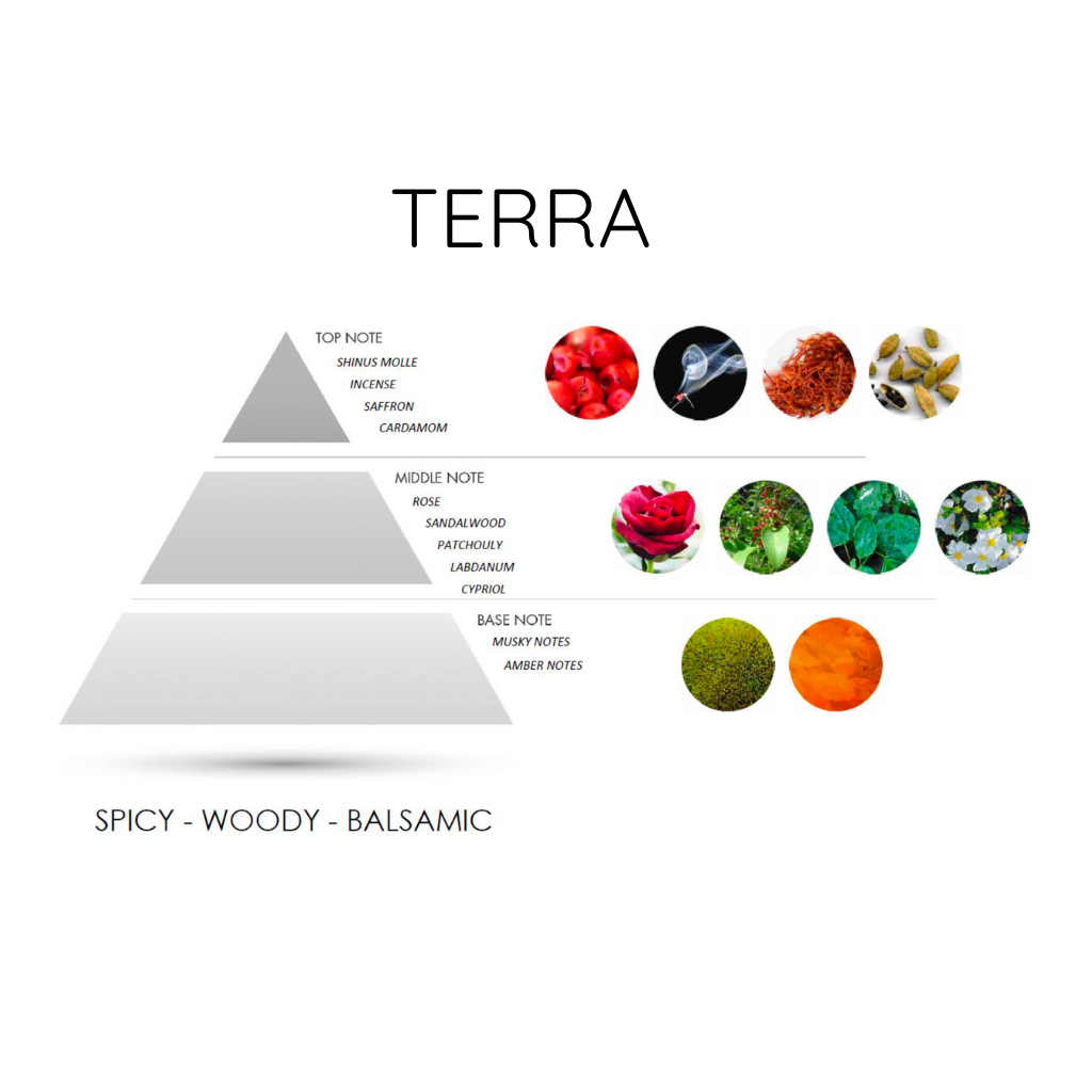 TERRA Eau de Parfum by LORD MILANO features top notes of sinus molle, saffron incense, incense, and cardamom; heart notes of rose, sandalwood, patchouli, labdanum, cypress; and a musky amber base. The scent is spicy, woody, and balsamic.