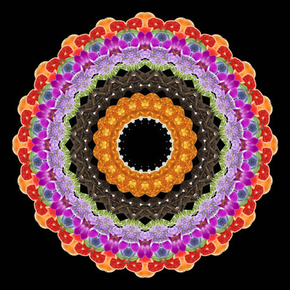 A vibrant mandala of fruits, vegetables, and flowers forms a striking circle on black, echoing the intricate fruity floral essence of HALA Eau de Moe by Eau De Moe.