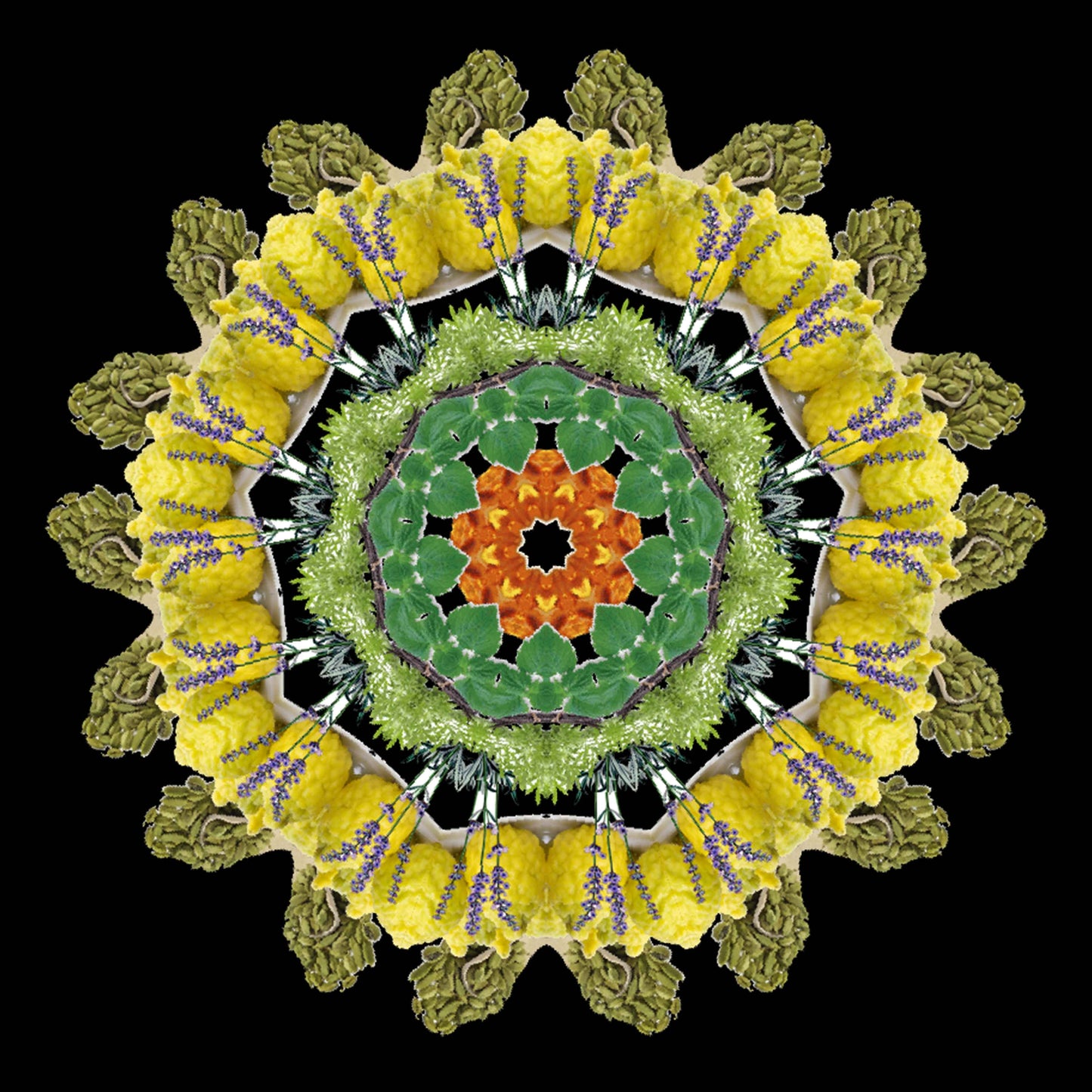 A vibrant mandala of vegetables and plants in green, yellow, orange, and purple hues on black—echoing the richness found in Eau De Moe’s TARIQ Eau de Moe.