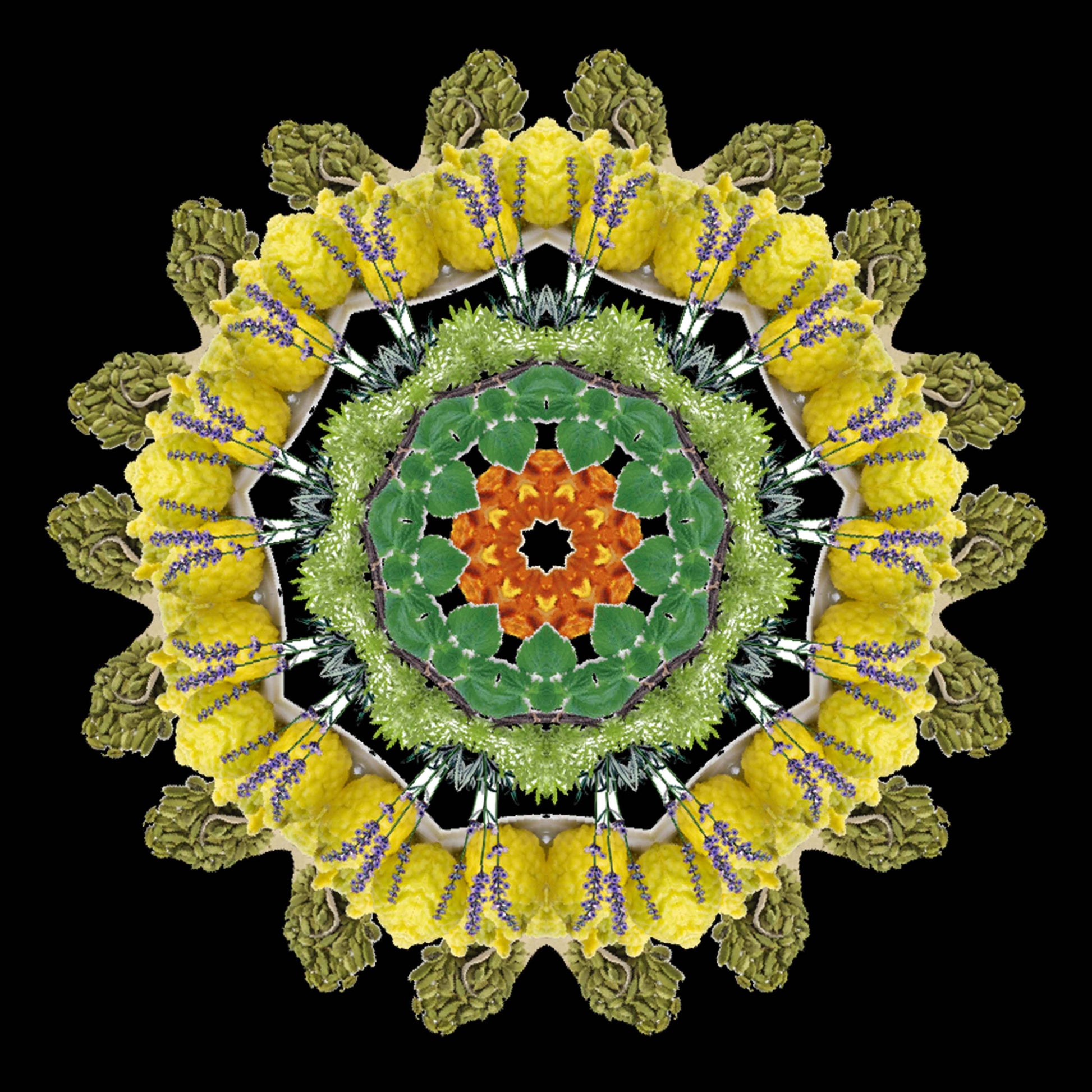 A vibrant mandala of vegetables and plants in green, yellow, orange, and purple hues on black—echoing the richness found in Eau De Moe’s TARIQ Eau de Moe.