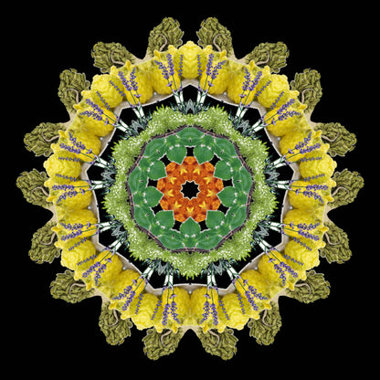 A vibrant mandala of vegetables and plants in green, yellow, orange, and purple hues on black—echoing the richness found in Eau De Moe’s TARIQ Eau de Moe.
