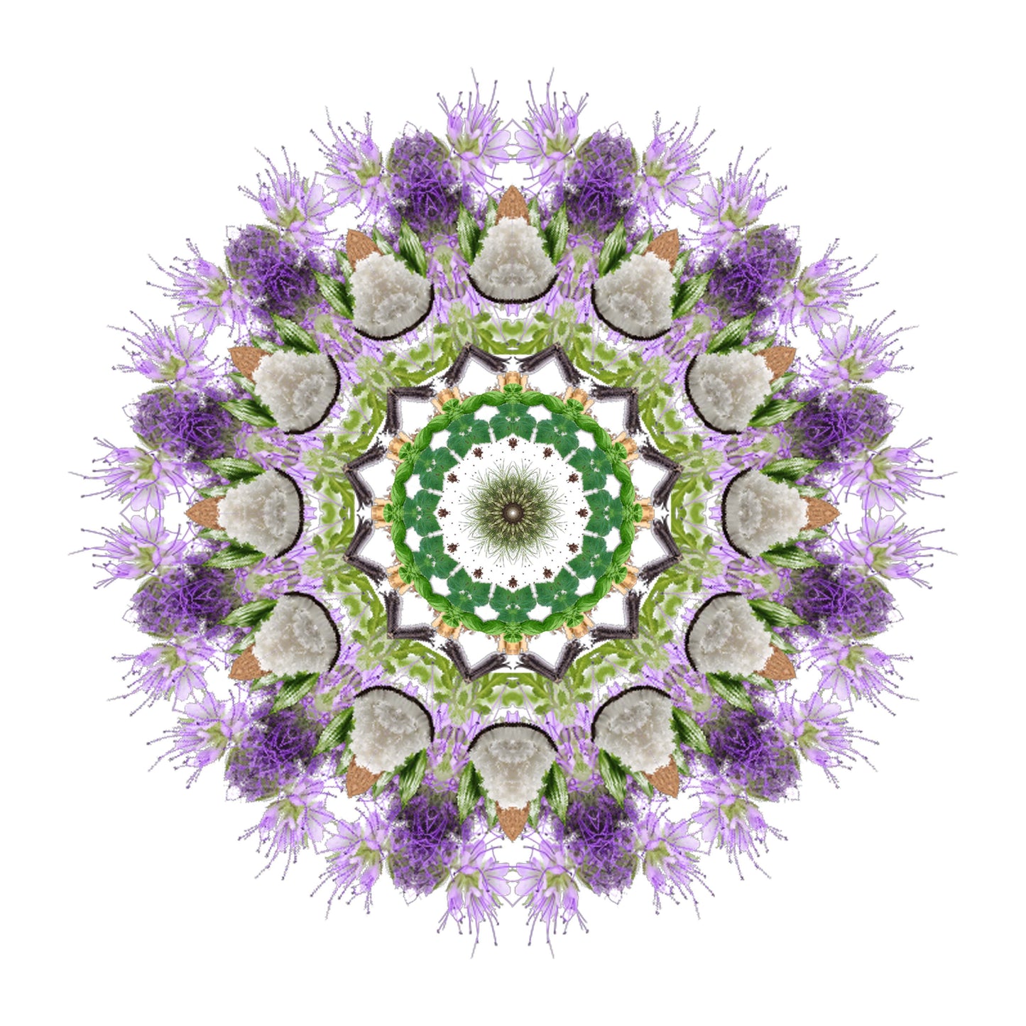 A symmetrical mandala with intricate green, white, and purple floral patterns radiates from the center on white—reflecting the sweet powdery scent of SENNA Eau de Parfum by Eau De Moe and Madagascar Vanilla.