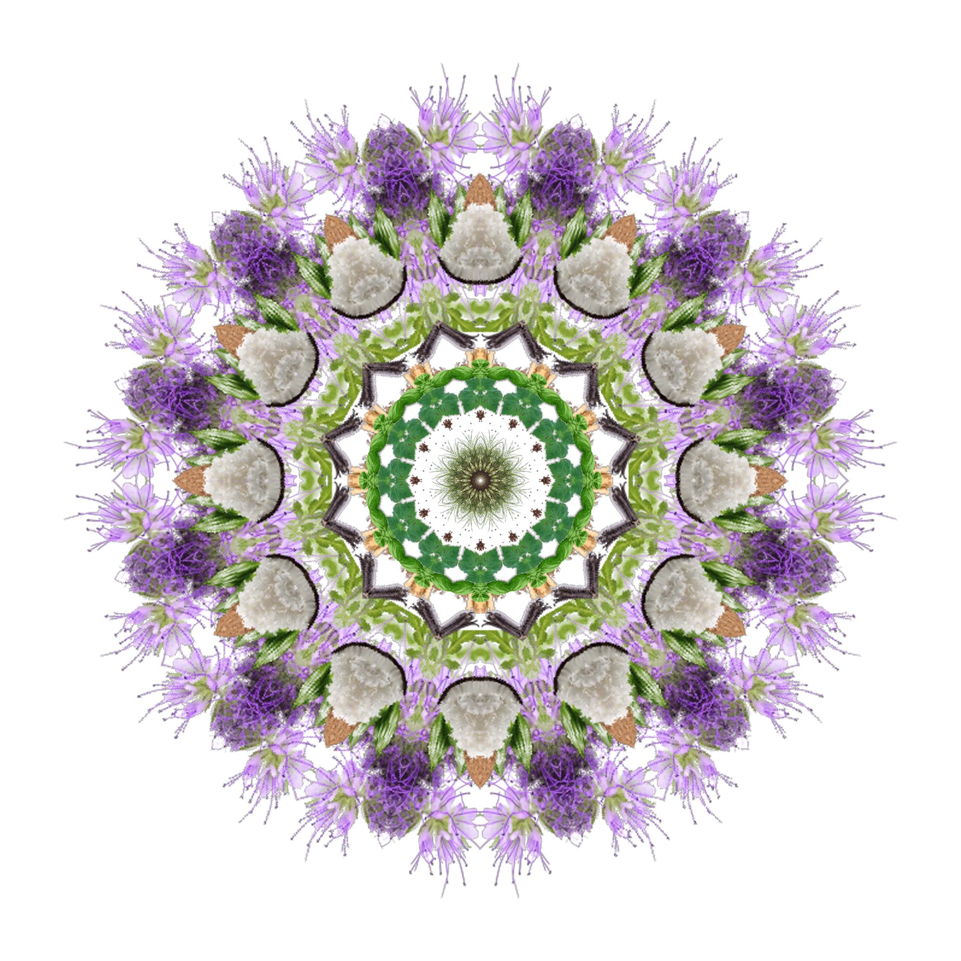 A symmetrical mandala with intricate green, white, and purple floral patterns radiates from the center on white—reflecting the sweet powdery scent of SENNA Eau de Parfum by Eau De Moe and Madagascar Vanilla.