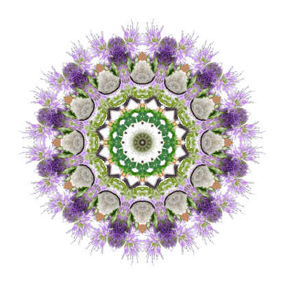 A symmetrical mandala with intricate green, white, and purple floral patterns radiates from the center on white—reflecting the sweet powdery scent of SENNA Eau de Parfum by Eau De Moe and Madagascar Vanilla.