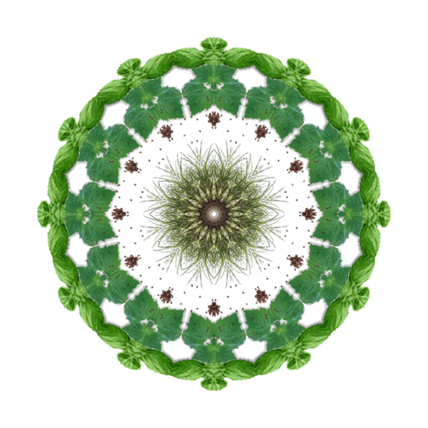 A circular mandala of green leaves and white flowers, arranged symmetrically on white, reflects the fresh elegance of ZAID Eau de Parfum by Eau De Moe—a natural, intricate design capturing its essence.