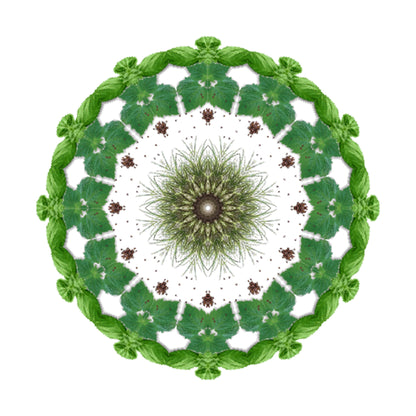 A circular mandala of green leaves and white flowers, arranged symmetrically on white, reflects the fresh elegance of ZAID Eau de Parfum by Eau De Moe—a natural, intricate design capturing its essence.