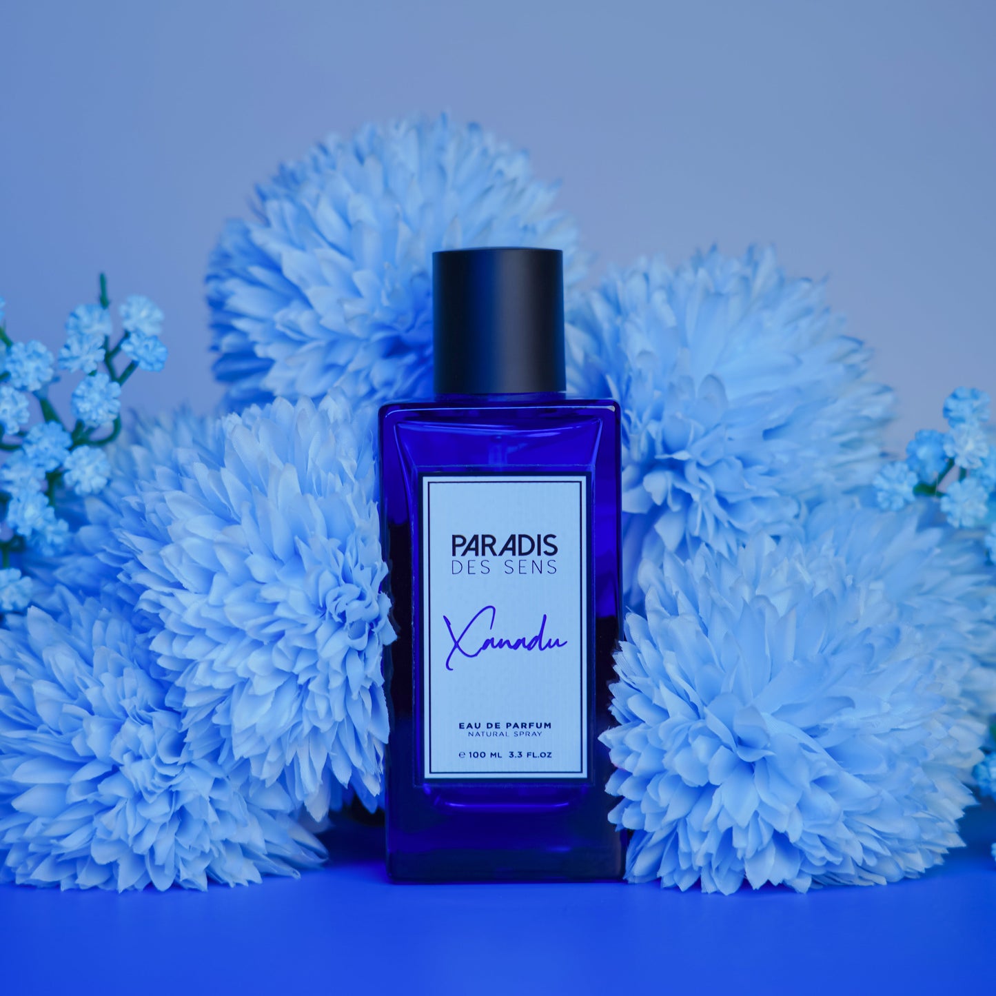 Xanadu Eau de Parfum - Paradis Des Sens