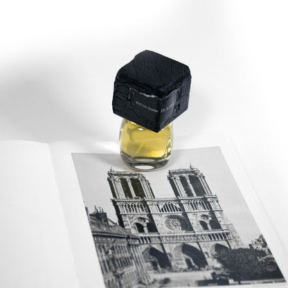 Filippo Sorcinelli Perfumes born in 2014; dedicated to the artistic passions of their creator:
  Gothic art, music, photographyÃ¢â‚¬Â¦the fog.Shop at fragrapedia.com