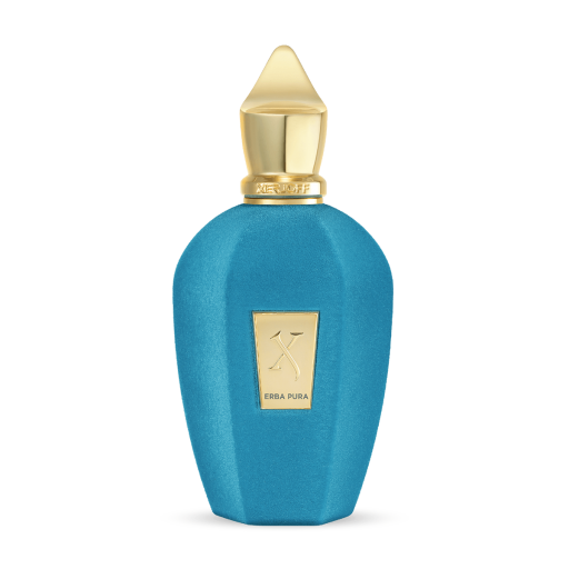 A turquoise blue Xerjoff bottle with a gold cap and label reading "Erba Pura Eau de Parfum - XERJOFF," an exquisite amber fragrance, displayed against a plain white background.