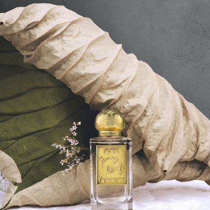 A gold-capped LA DANZA DELLE LIBELLULE EDP by Nobile 1942 stands before a large, curled dried leaf and delicate white flowers, highlighting the gourmand allure of this fragrance against a gray backdrop.