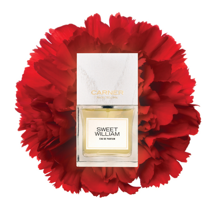 Sweet William EDP