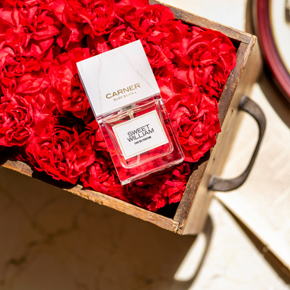 SWEET WILLIAM Eau de Parfum - Carner Barcelona