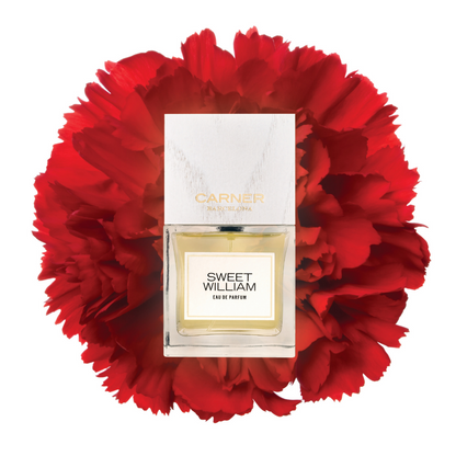 SWEET WILLIAM Eau de Parfum - Carner Barcelona