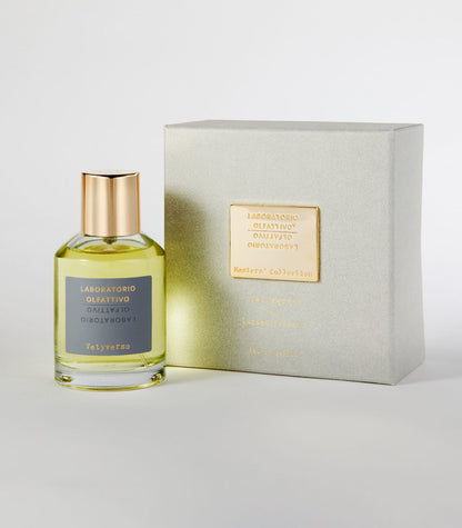 A bottle of Laboratorio Olfattivo Vetyverso perfume with a gold cap is displayed beside its silver-grey box with a gold label. This fragrance features spicy, woody notes, shown against a white background.